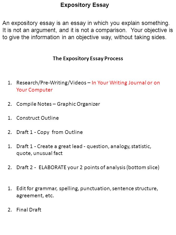 revision essay examples